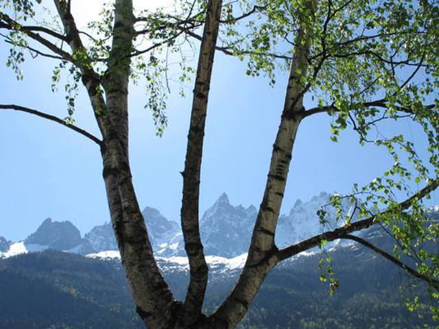 Printemps à Chamonix