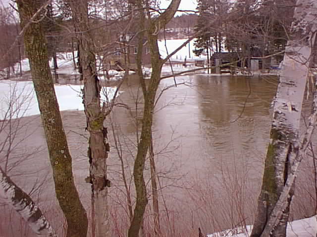 Printemps précoce