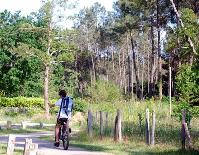 promenade autour du lac