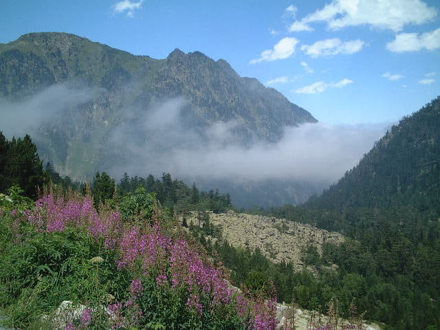 Pyrénées 1949 metres