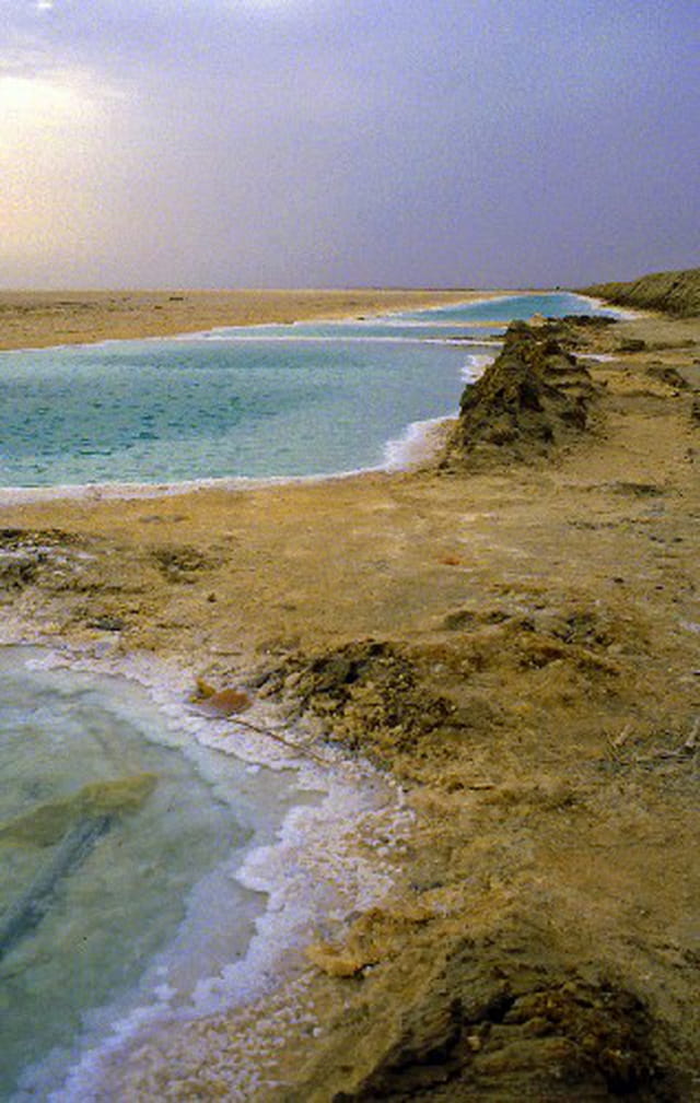 Quand la vie quitte la Terre