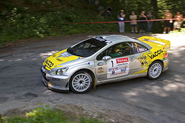 Rallye du Rouergue 2008