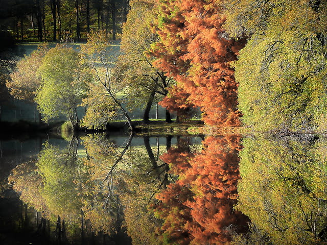 Reflets automnaux