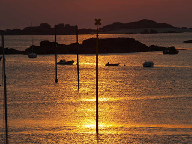 Reflets d'or