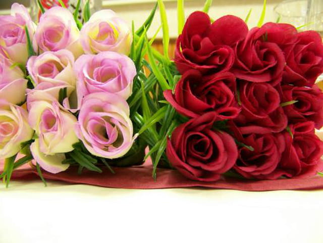 Rouge et Roses