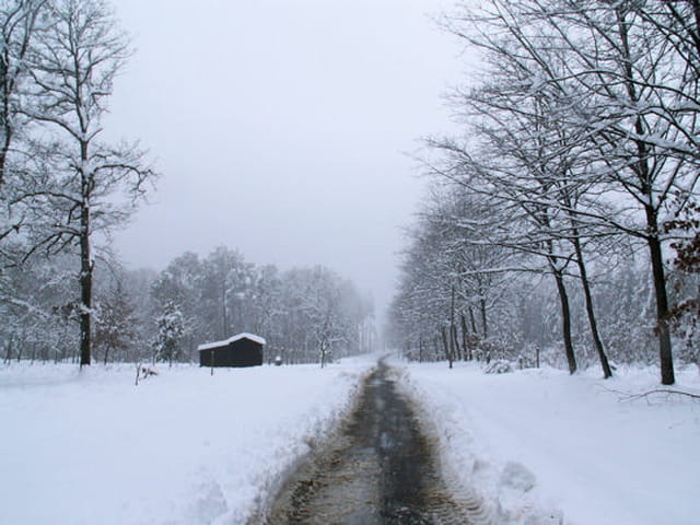 Route sous la neige