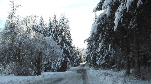 Routes d'hiver