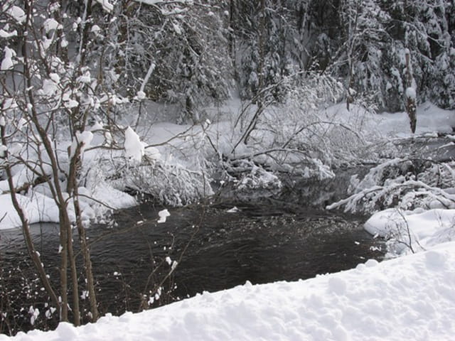 Ruisseau en hiver