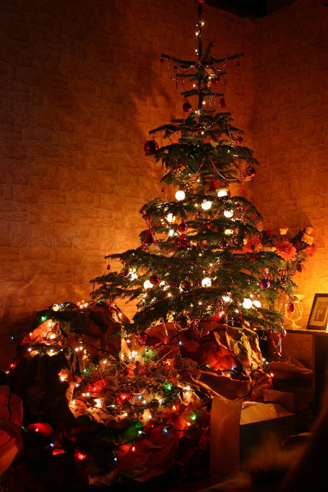 sapin illumin 233 par 233 lodie fabre sur l internaute sapin illumin 233 par 233 lodie fabre sur l internaute