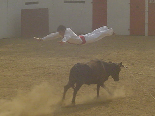 Saut de l'ange