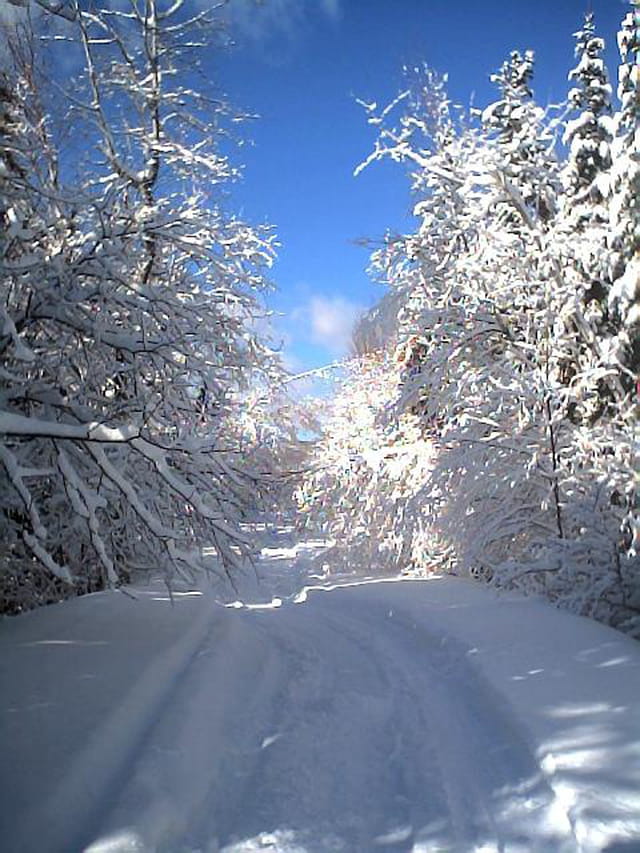Sentier de neige