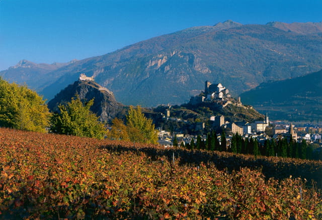 Sion