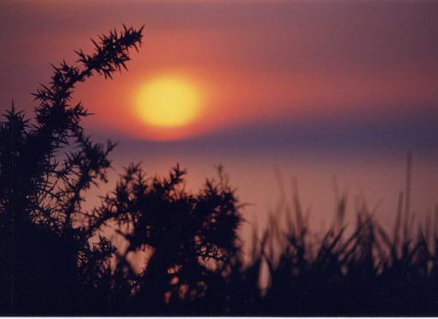 Soleil couchant