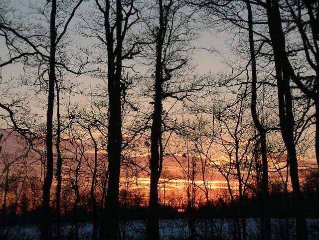 Soleil couchant
