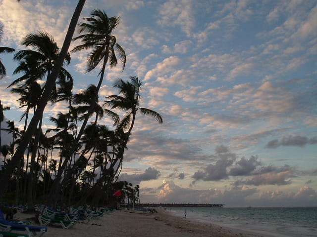 Soleil couchant et cocotiers...