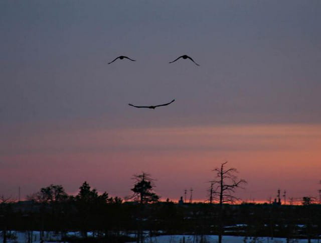 Sourire au couchant
