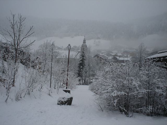 Sous la neige