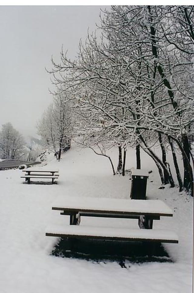 Sous un blanc manteau