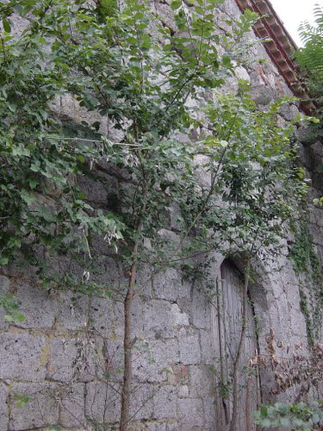 St Sigismond de Vialère