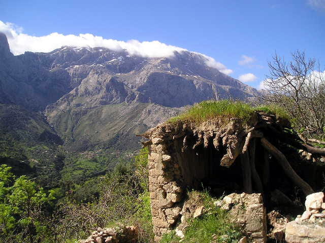 Tamurtiw1