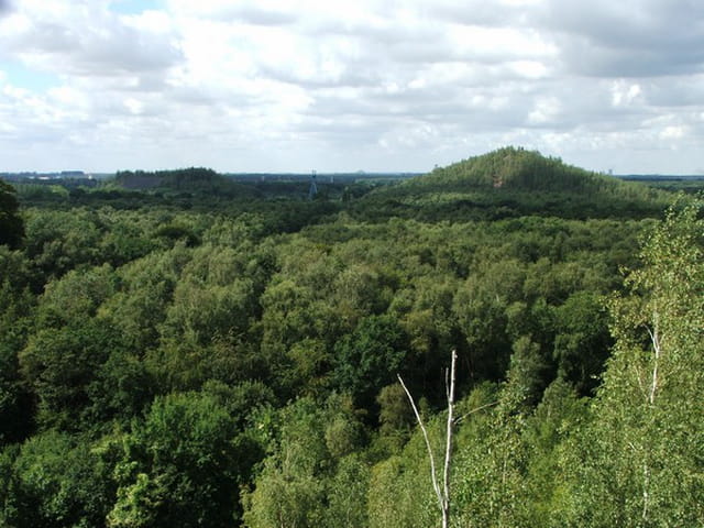 Terril