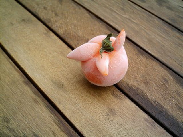 Tomate chapeau de carnaval de rio