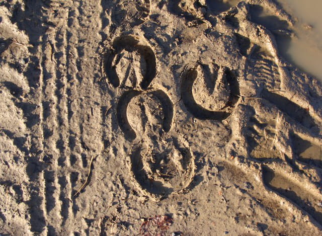 Traces