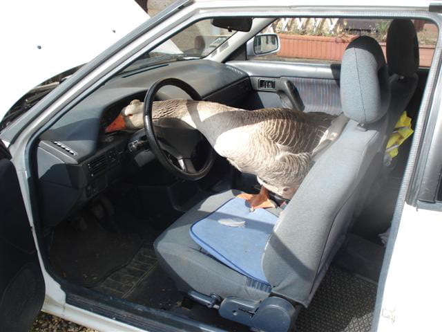 Tu visites ma ferme, je visite ta voiture !