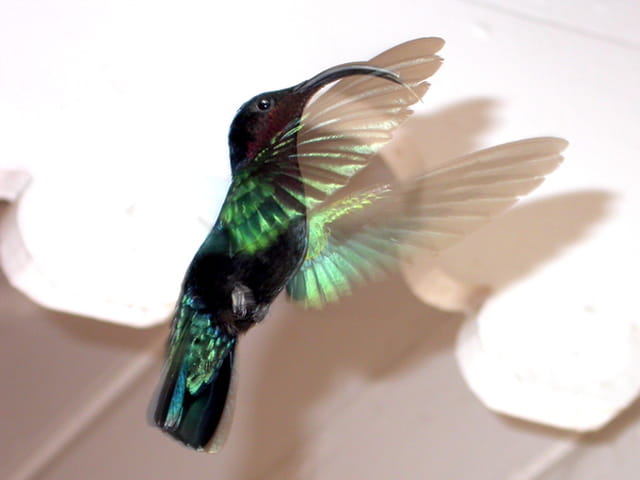 Un ange passe...