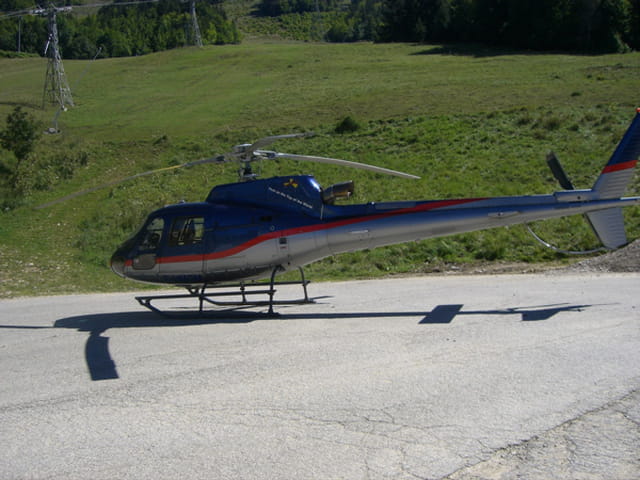 Un écureuil