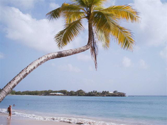 Un ptit coin de paradis
