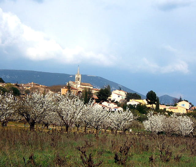 Un si joli village