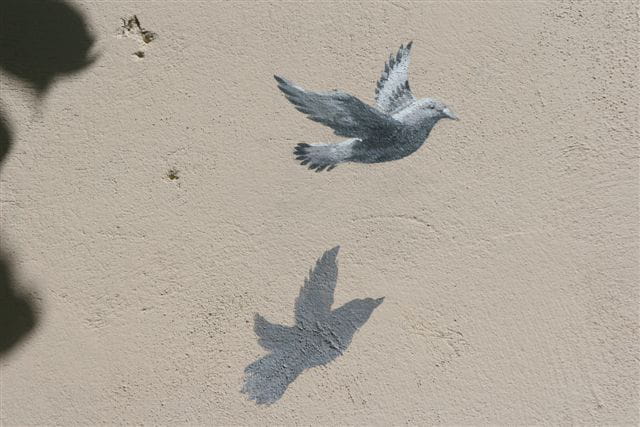 Un trompe l'oeil et son ombre
