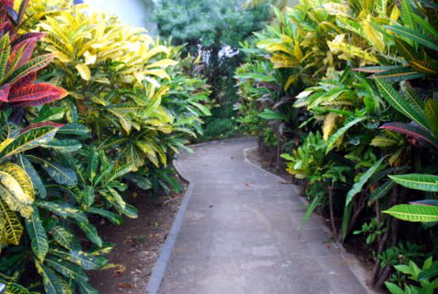 une allée