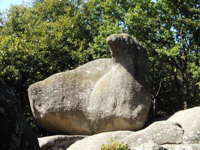 Une oie en pierre