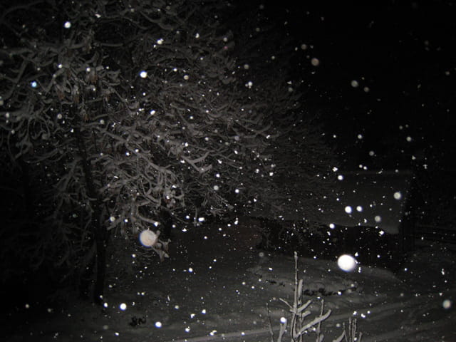 Une pluie d'étoiles filante