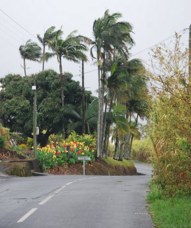 une route à Petite Île