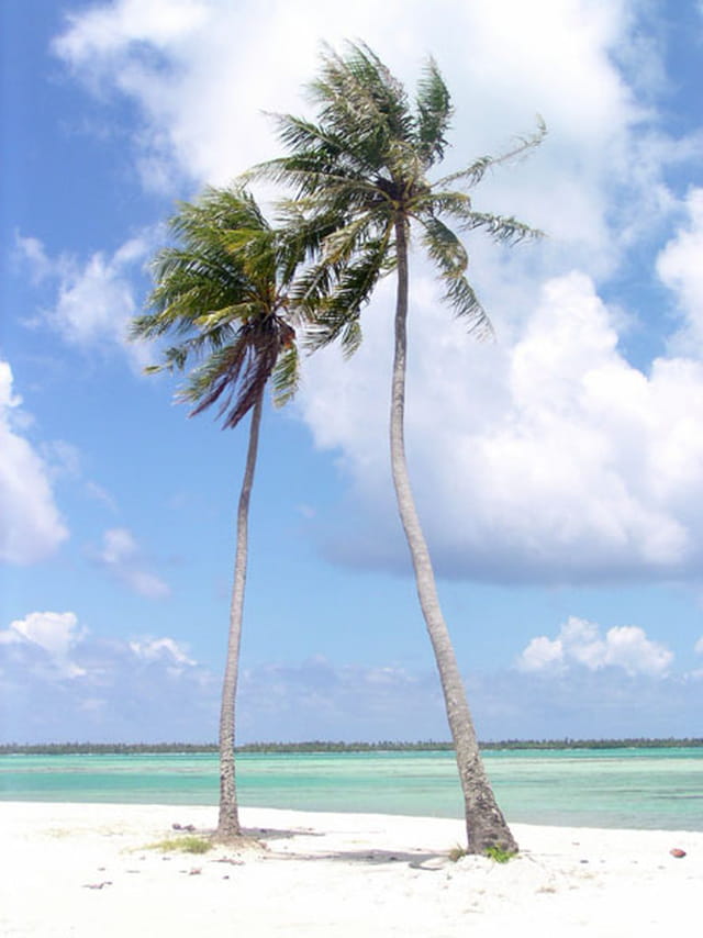 Vacances à maupiti