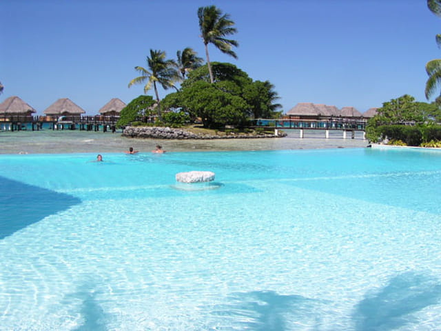 Vacances sous les tropiques