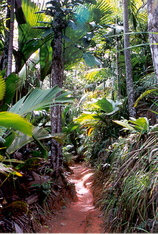 Vallée de Mai