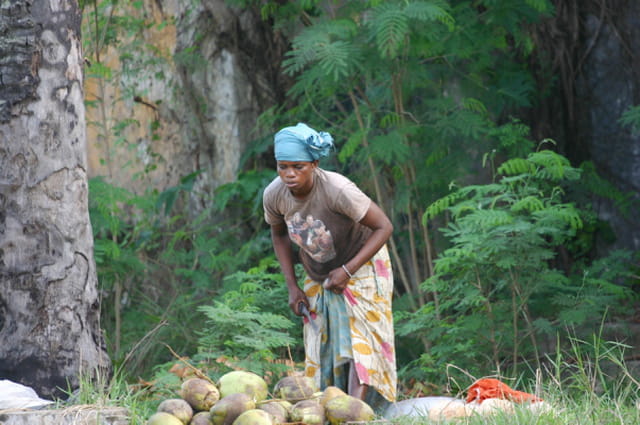 Vendeuse de coco