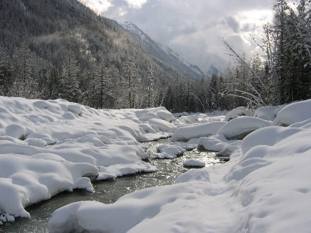 Vents de neige