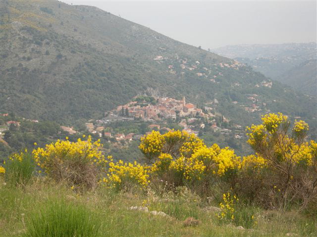 Village sur les auteurs de Nice