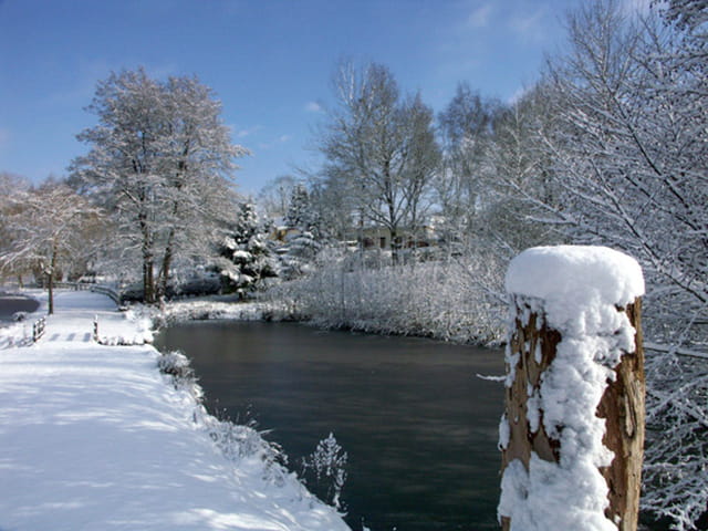 Vision d'hiver