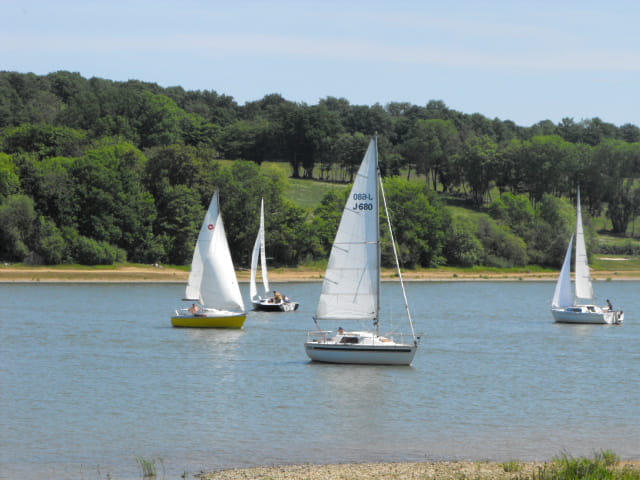 VOILIERS SUR UN LAC