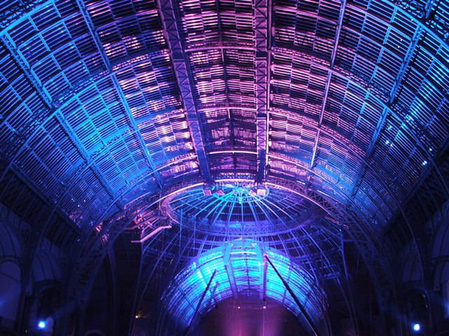 Voute du grand palais