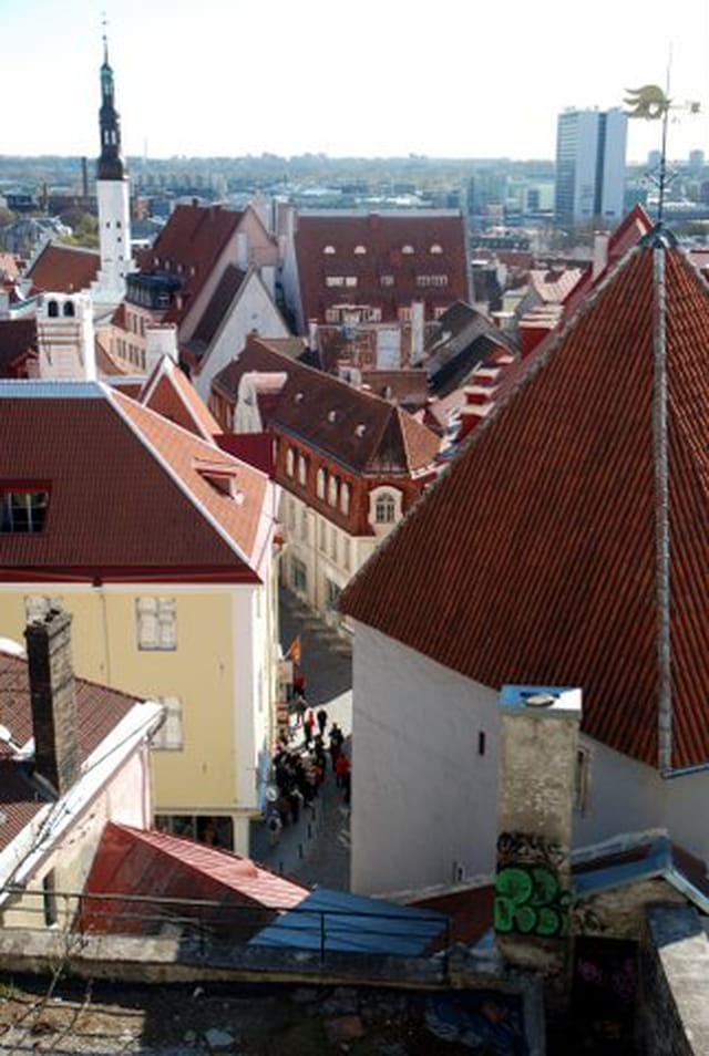 vue sur la ville basse de Tallinn