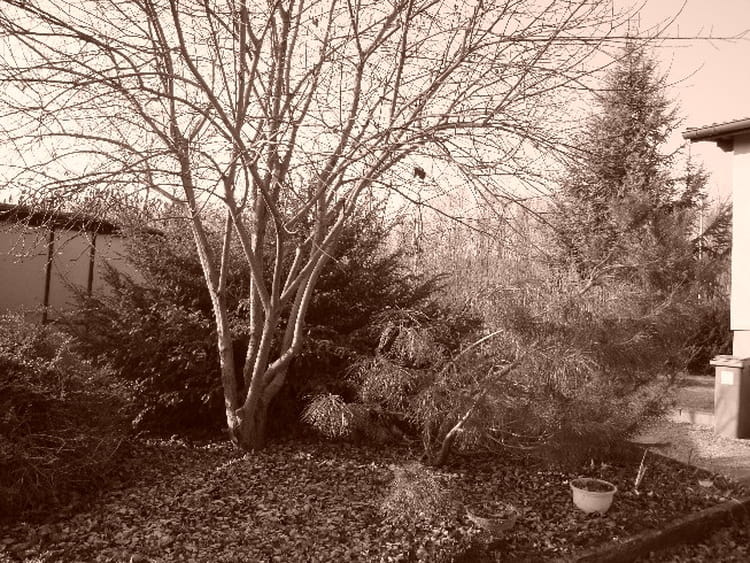 Photographie Paysage été - FR'O'BLOG - FR'O'BLOG Photographie Paysage été - FR'O'BLOG - FR'O'BLOG