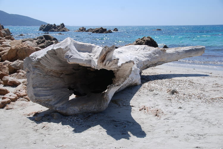 Image Bois Flotte : Bois flott? par thierry parrimond sur L’Internaute Image Bois Flotte : Bois flott? par thierry parrimond sur L’Internaute