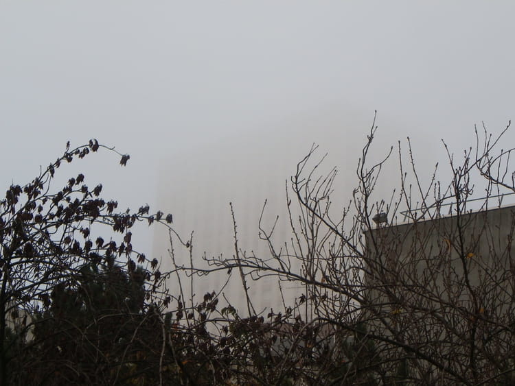 Chronique De La Mer De Brouillard Brouillard par Isabelle TARAS sur L'Internaute